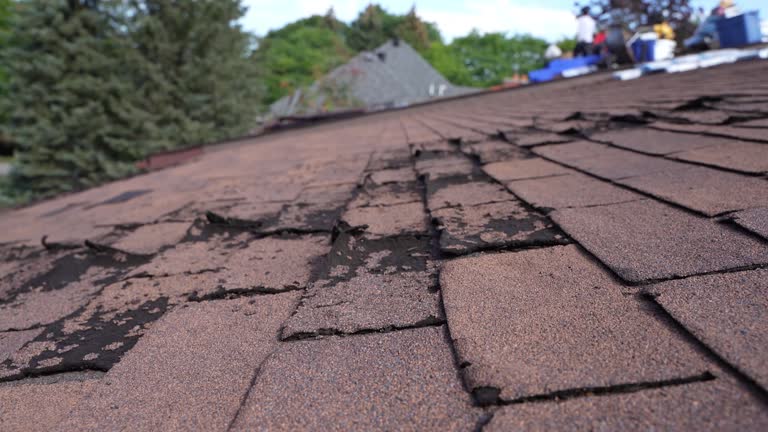 Best Storm Damage Roof Repair  in Bay Village, OH